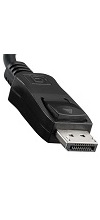 DisplayPort Stecker