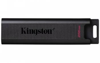 Kingston DTMAX/256GB