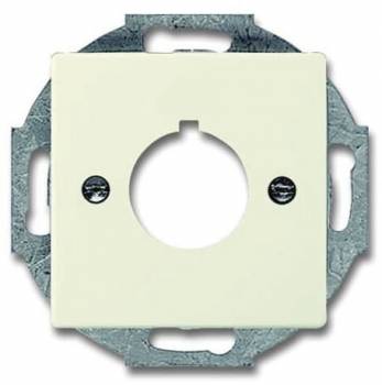 Busch Jaeger 2CKA001724A4255