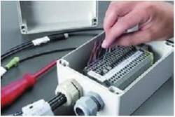 Bernstein 1140000000